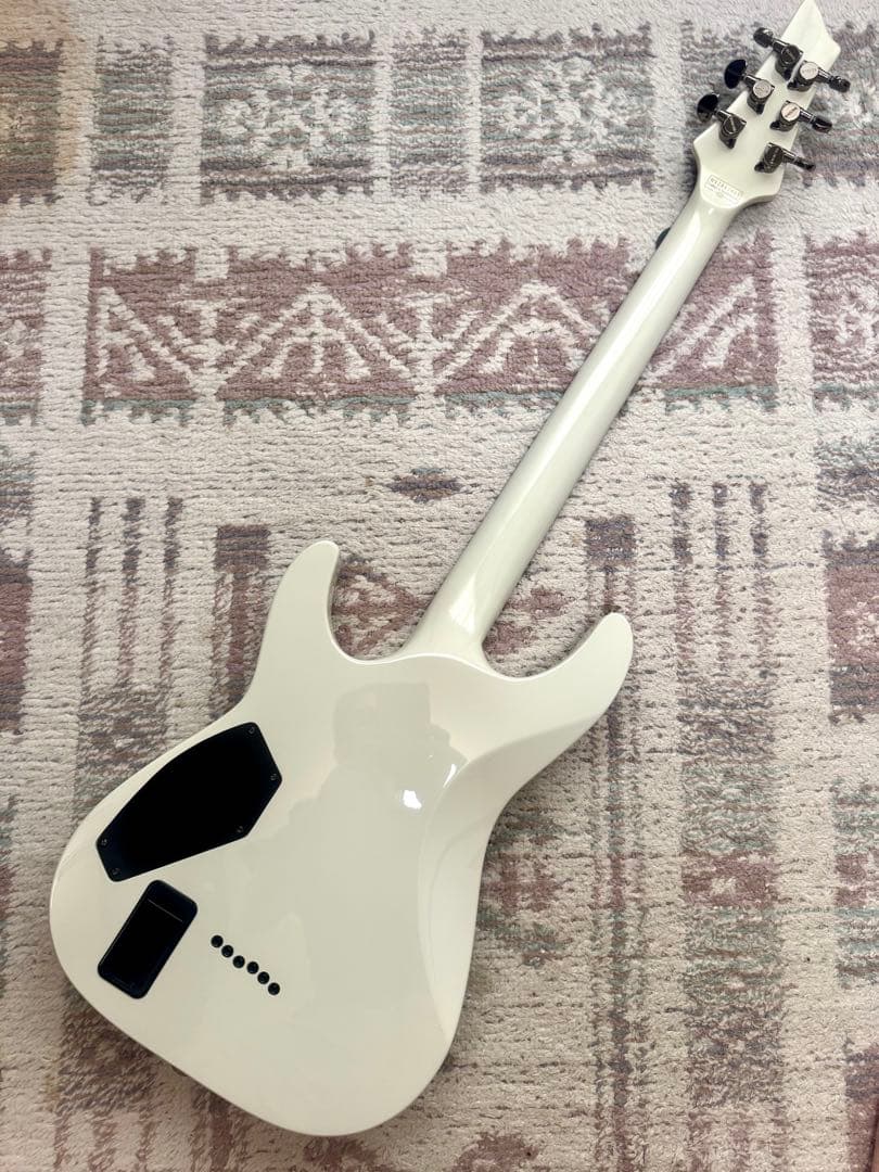 SCHECTER HELLRAISER C-1 EMG ピックアップ搭載モデル！