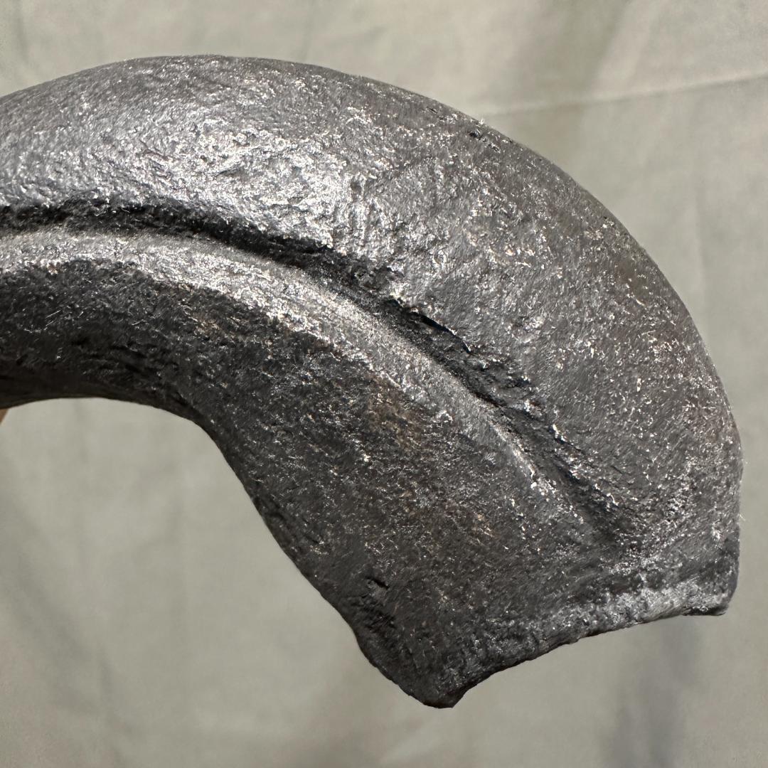 カルカロドントサウルス ハンドクロウ かぎ爪 化石 肉食恐竜 獣脚類 1516