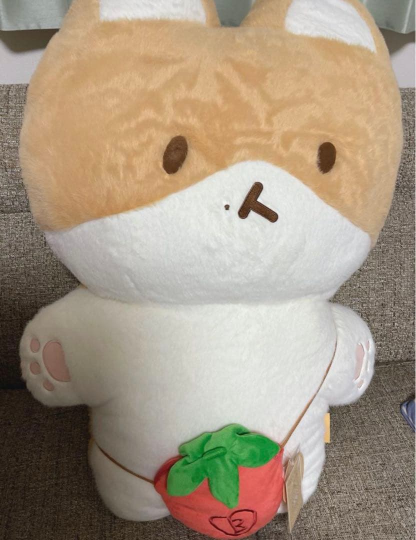 exo ベッキョン トレギ