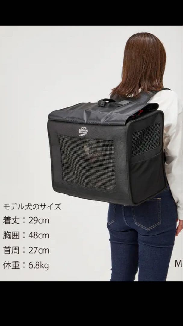 BRIXTON CARRY BACKPACK ブリクストンキャリーバックパック