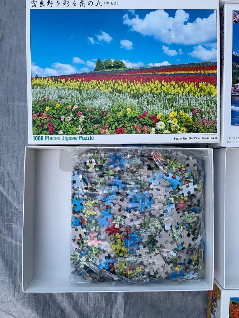 ジグソーパズル 6点 日本風景 富士山・城・桜・紅葉 開封済み未使用