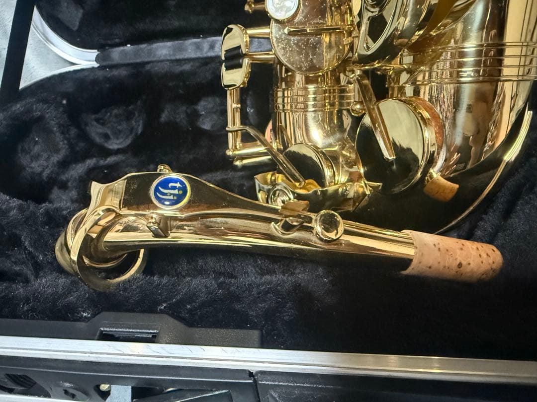 美品 トレバージェイムス アルトサックス THE HORN Revolution