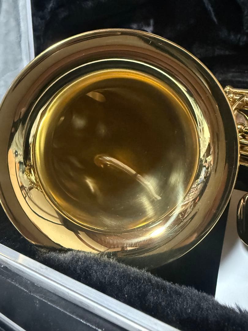 美品 トレバージェイムス アルトサックス THE HORN Revolution