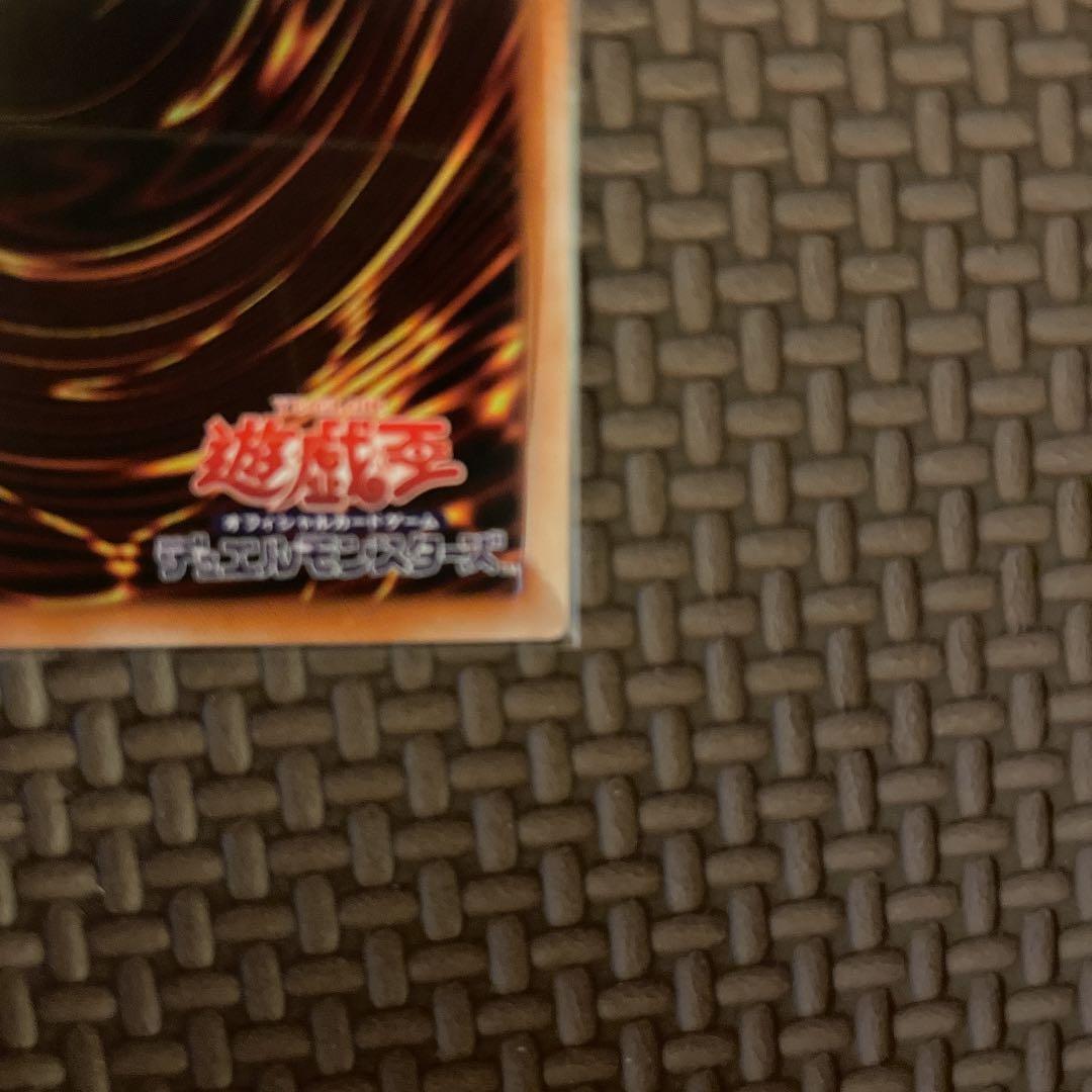 【完美品級】ブラックフェザー・ドラゴン プリシク