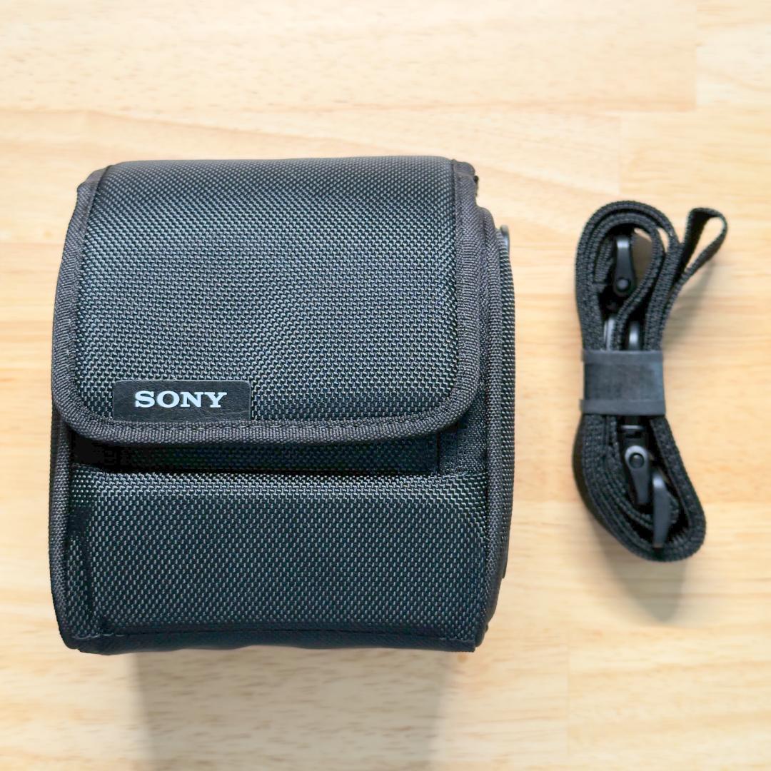 FE 35mm F1.4 GM SEL35F14GM プロテクター付