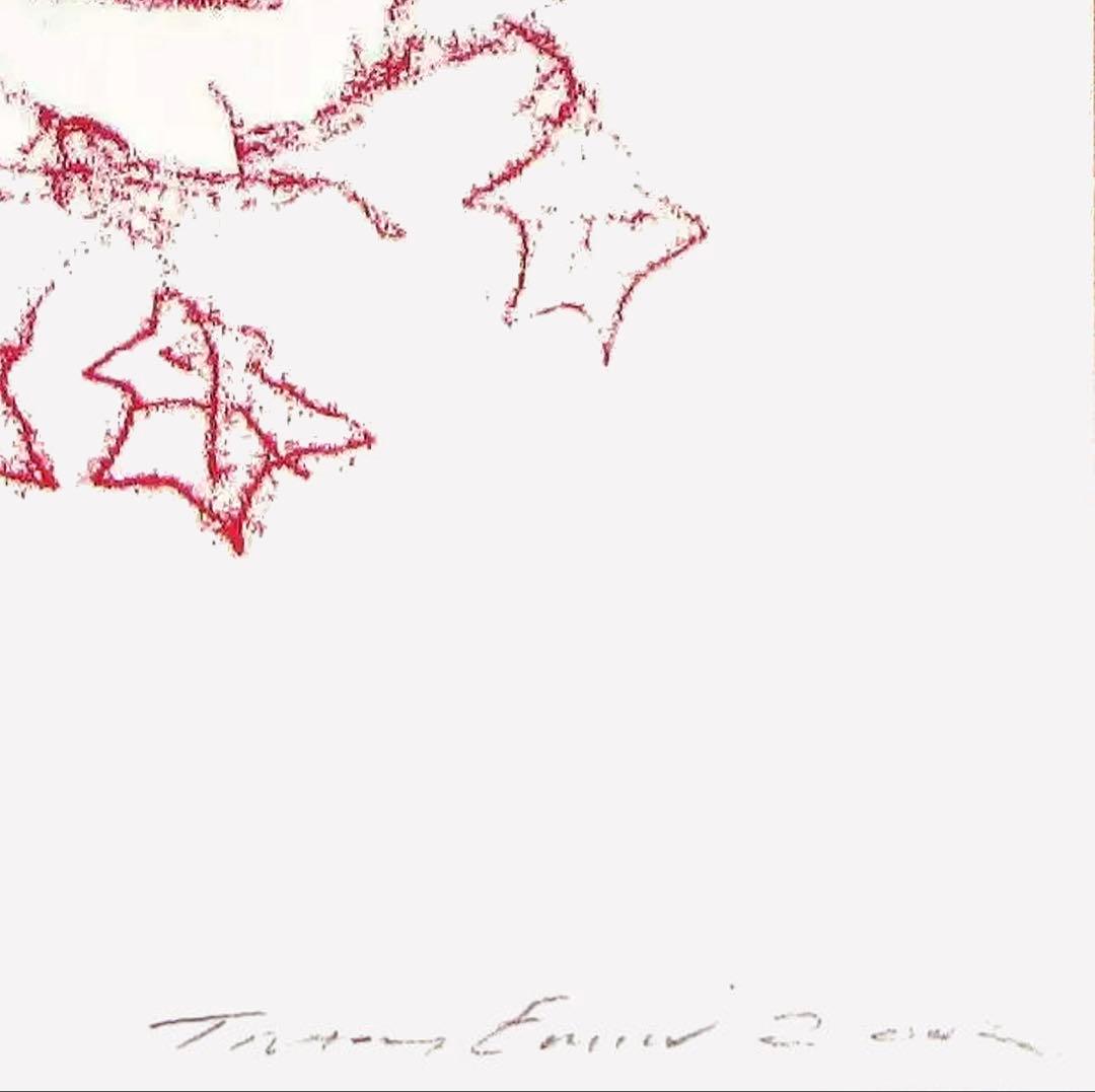Tracey Emin トレイシー・エミン　リトグラフ【証明書付】