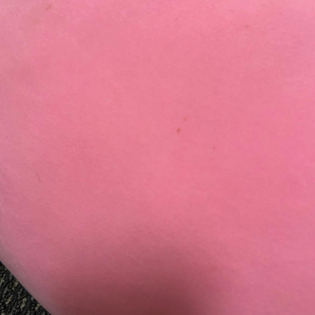 メタモン　超ビッグサイズもっちりぬいぐるみ　ポケモン　ポケモンセンター　2016