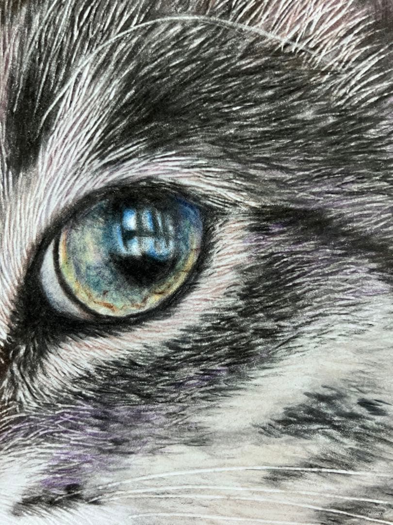 気高き猫 色鉛筆画 パステル