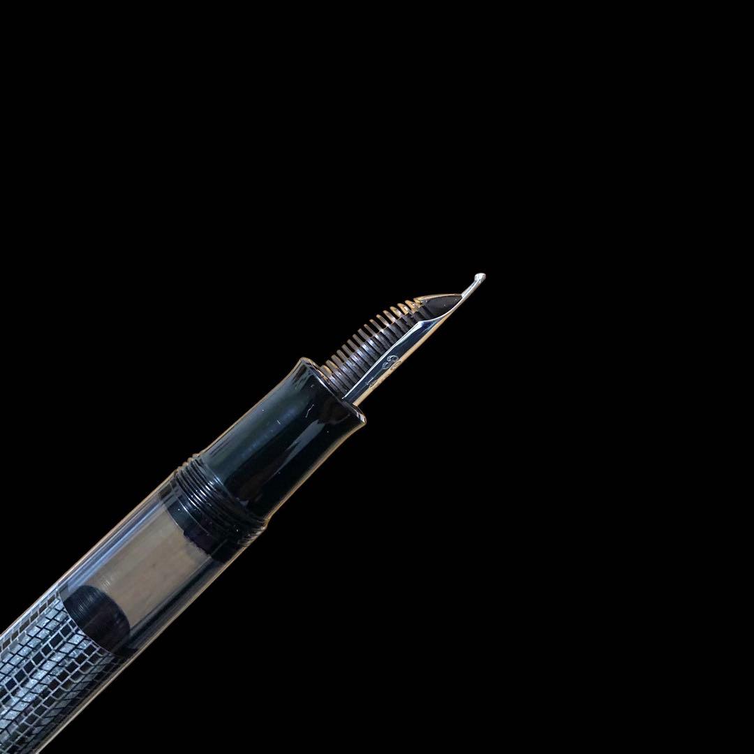 希少【付属品多数/国内限定800本】ペリカン M101N リザード 万年筆