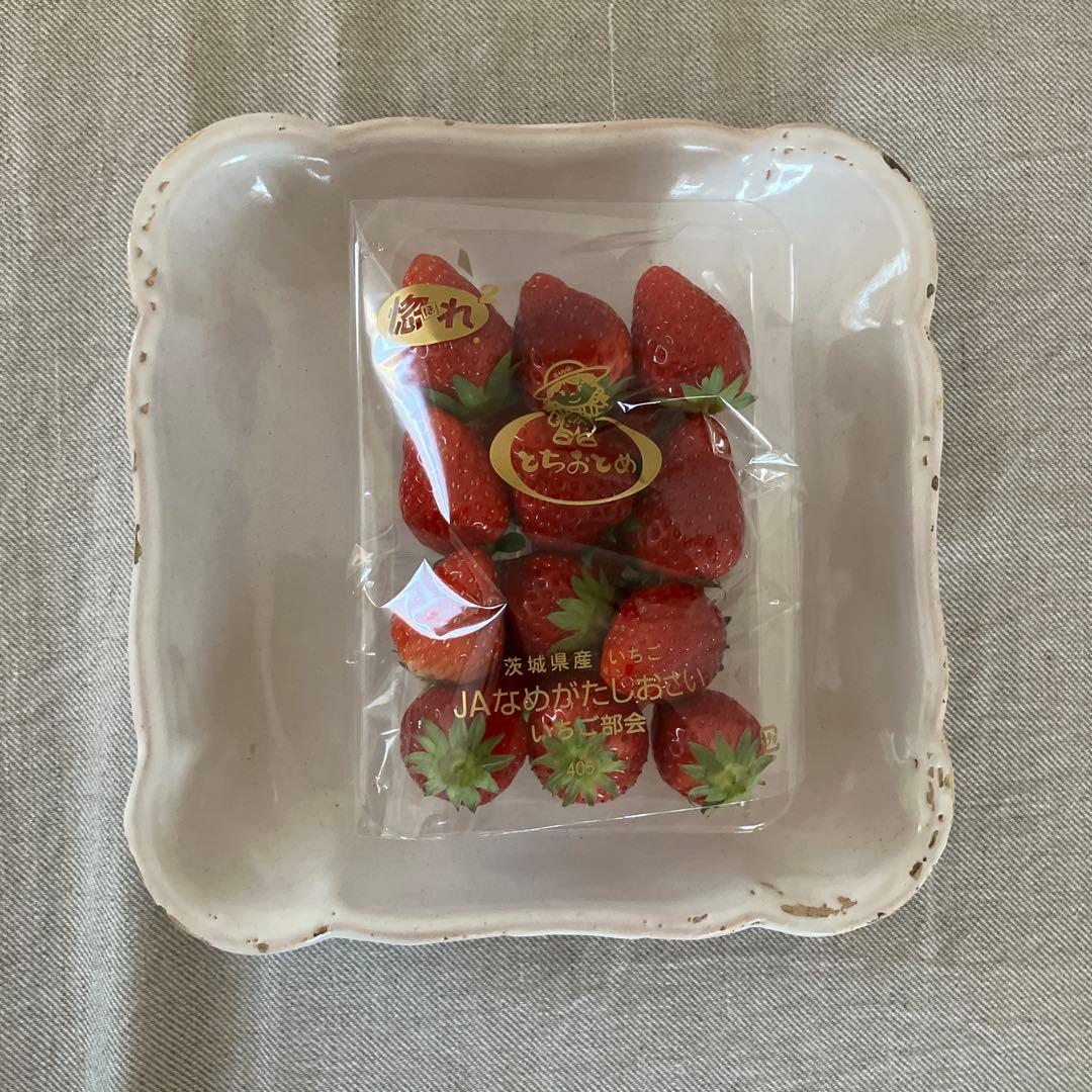 フランスアンティーク プレート 検) ハグオーワー サルグミンヌ