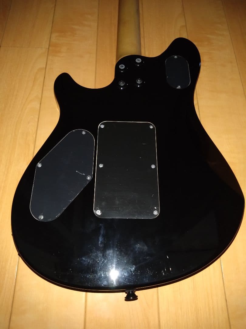 Wolfgang Standard ヴァンヘイレン D-Tune付き