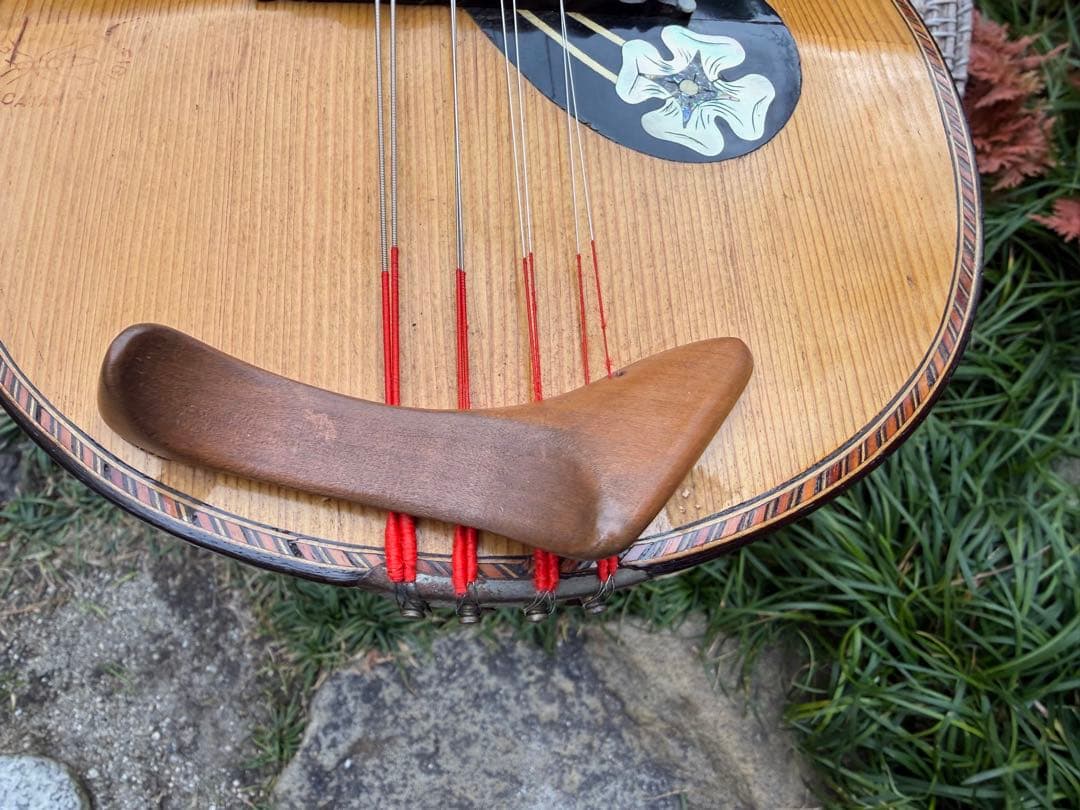 美しいイタリアのマンドリン1915年製G. Puglisi Neapolitan