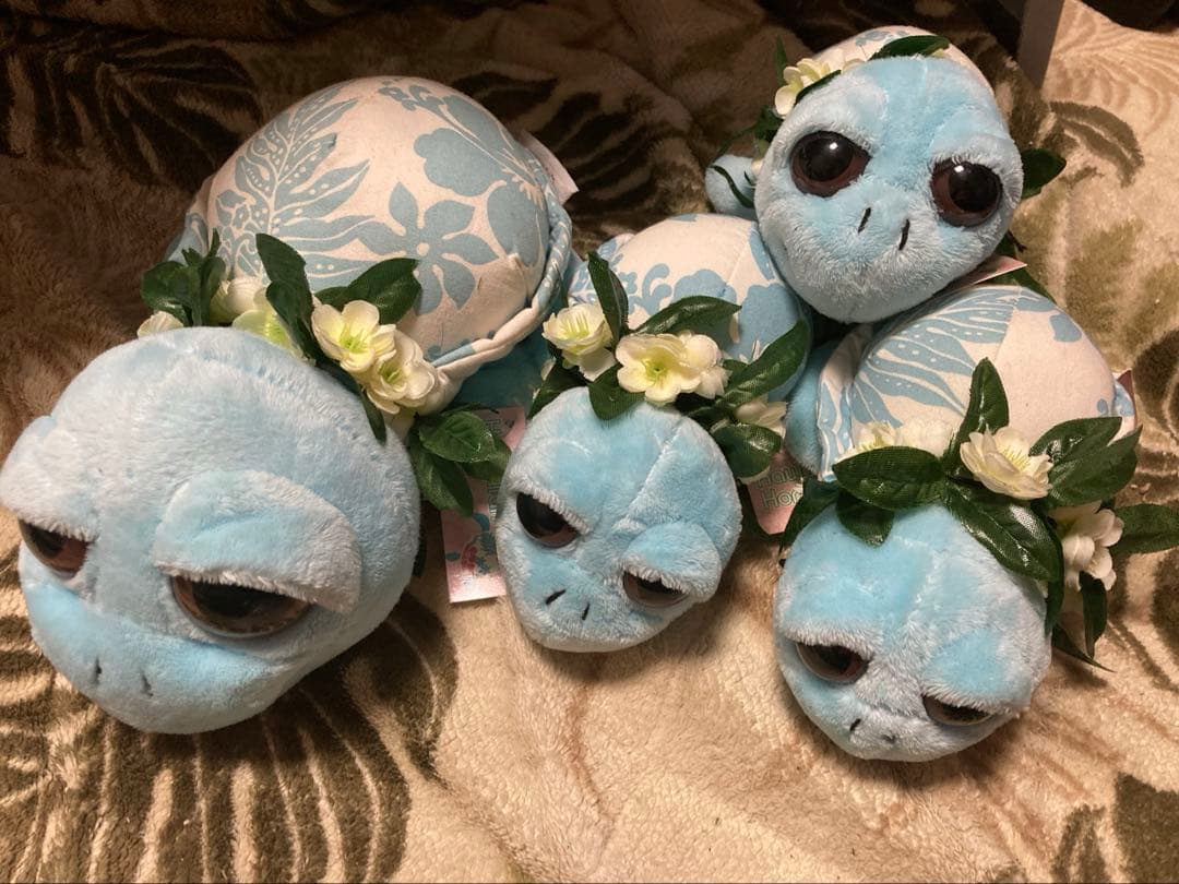 ハワイ ホヌ ぬいぐるみ セット モアナサーフライダー セット ウミガメ