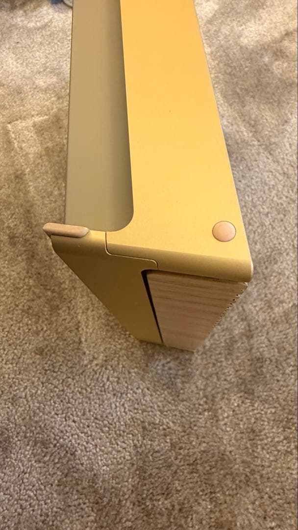 Bang & Olufsen Beosound Level 【美品】