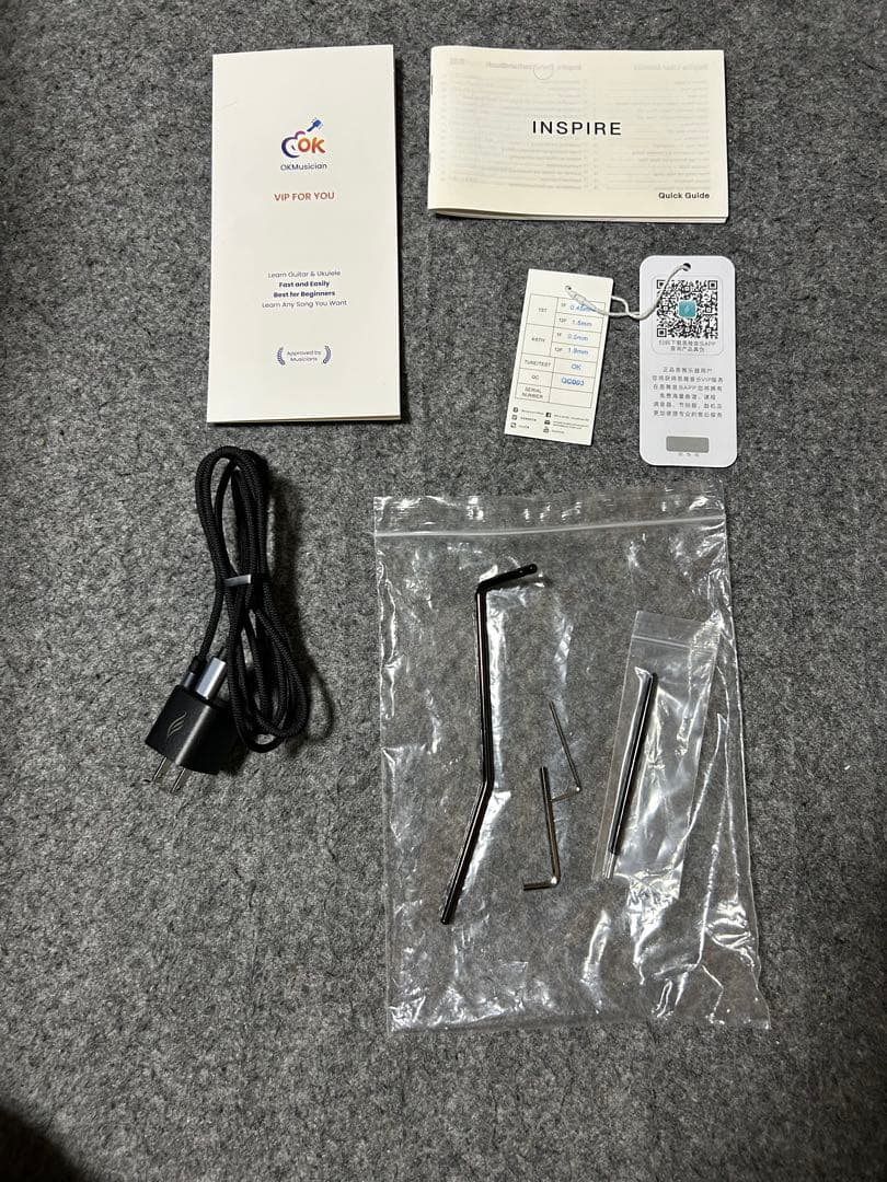 ENYA Inspire ブラック　アンプ内蔵エレキギター