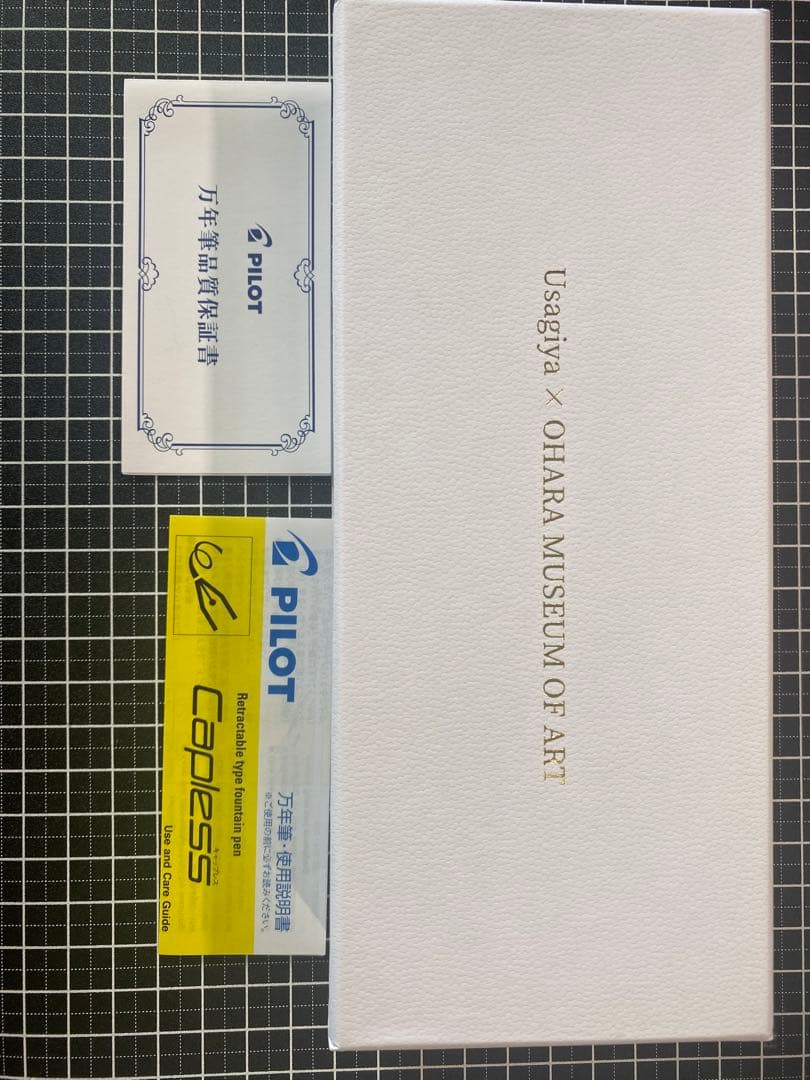 PILOT CAPLESS ポール・シニャック　オーヴェルシーの運河　銀　万年筆