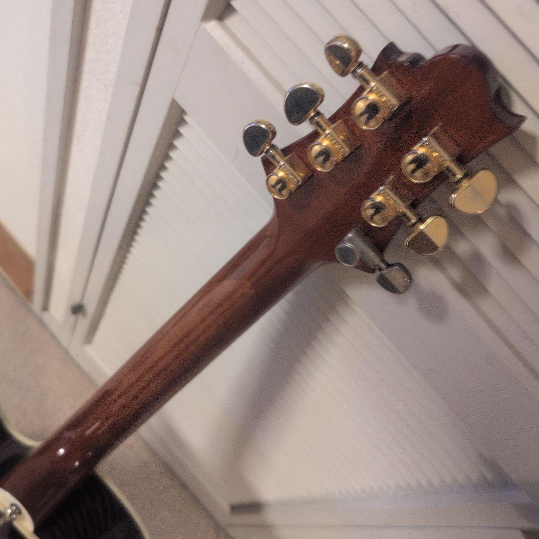 Greg Bennett / OM8CE トップ単板 エレアコ 美品