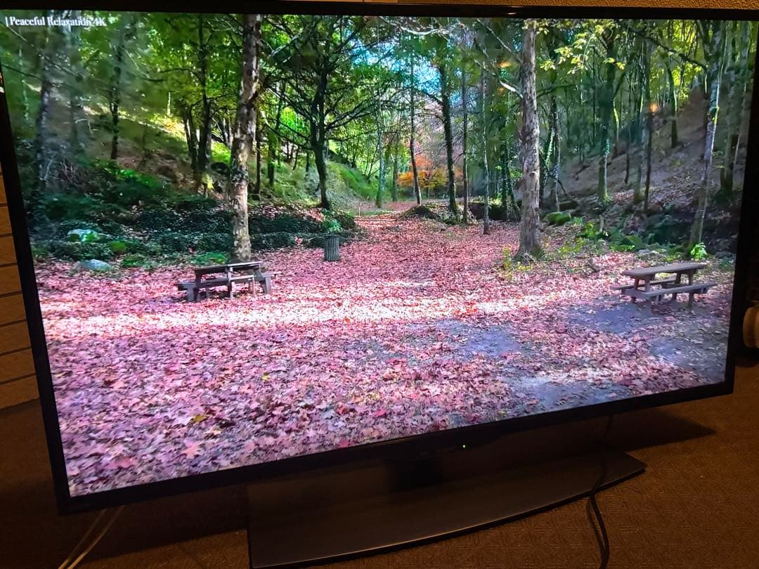 シャープ 40V型 4K液晶テレビ AQUOS 4T-C40BJ1 動画アプリ○