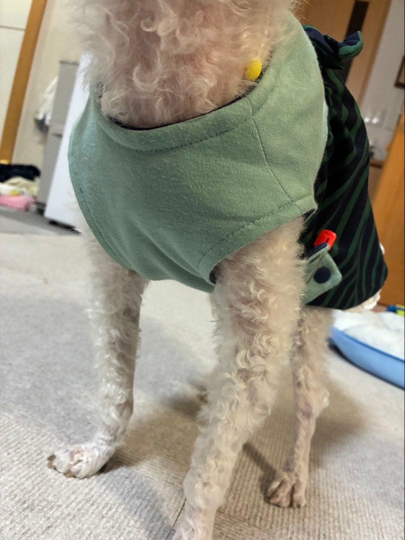 リリーさま専用