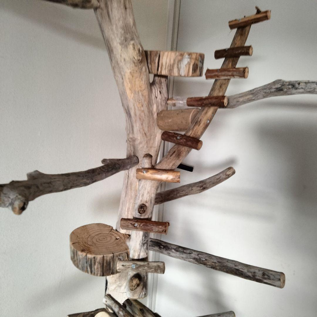 バードアスレチックジム大型 ㊹ 天然木 自然木 流木 止まり木 インコ オウム