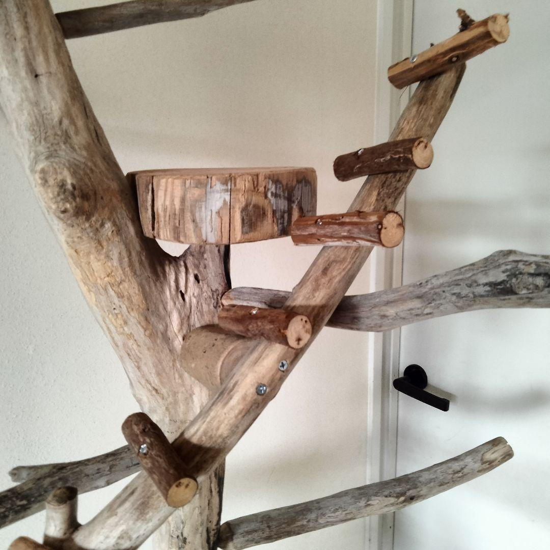 バードアスレチックジム大型 ㊹ 天然木 自然木 流木 止まり木 インコ オウム