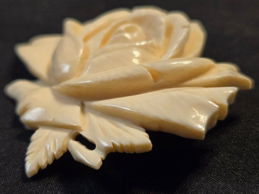 鯨歯x　アイボリー バラ ブローチ 5点セット