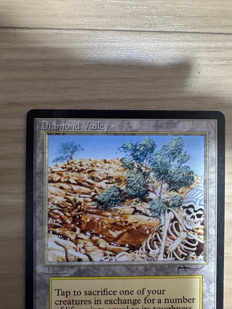 早い者勝ち特価　Diamond Valley 英語　mtg 引退　格安提供