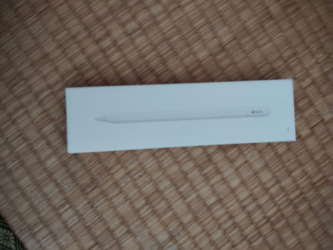 iPadアクセサリー Apple Pencil(USB-C)