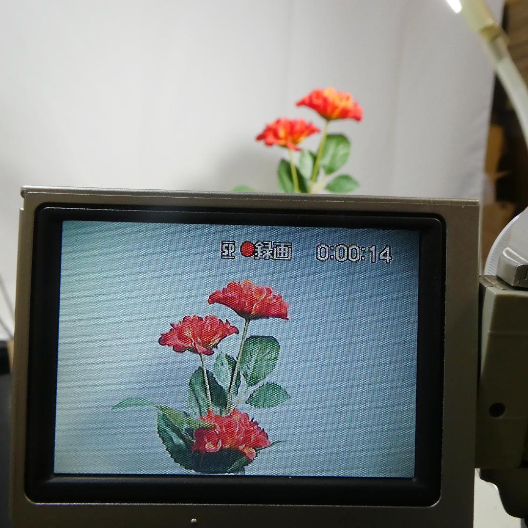 動作品ソニー DCR-TRV10 MiniDVビデオカメラ　DVDダビングに最適