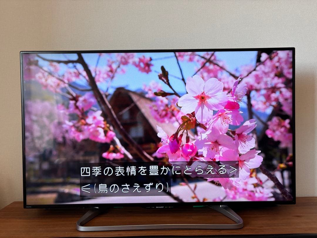動作品 SHARP50インチ 液晶テレビ AQUOS ネット動画視聴可