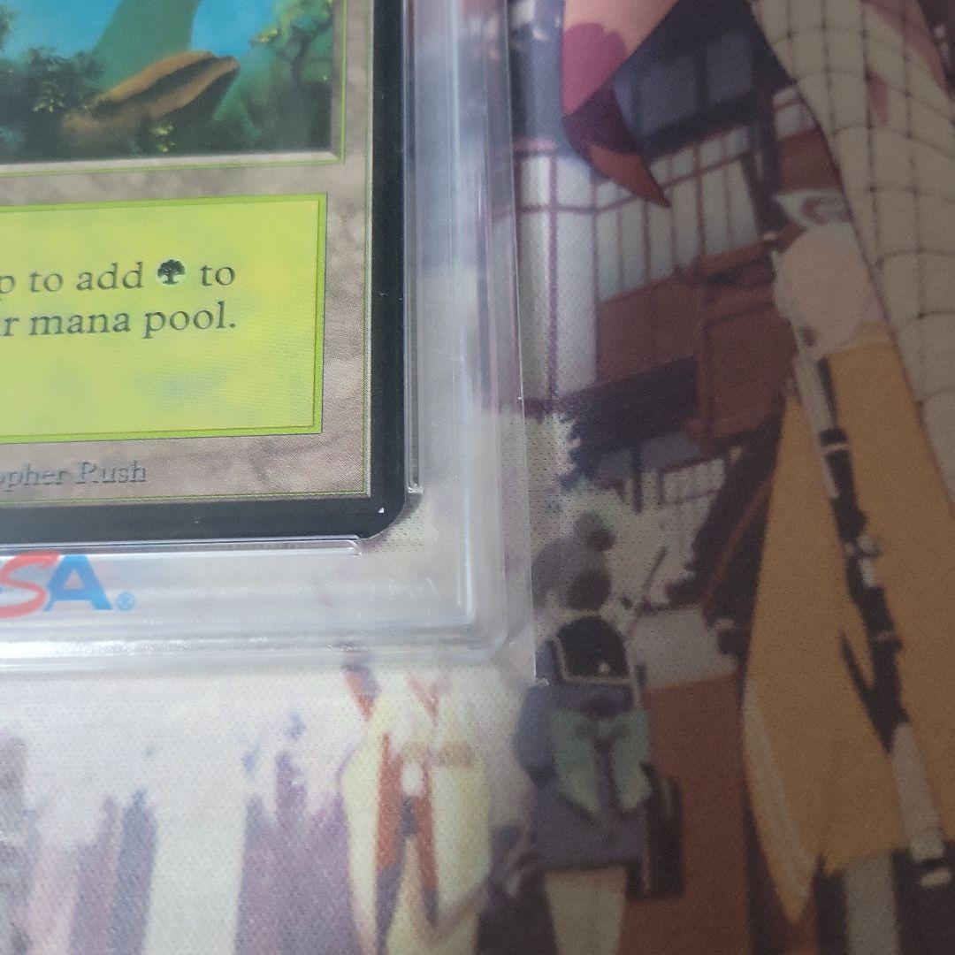 MTG 森 α PSA8