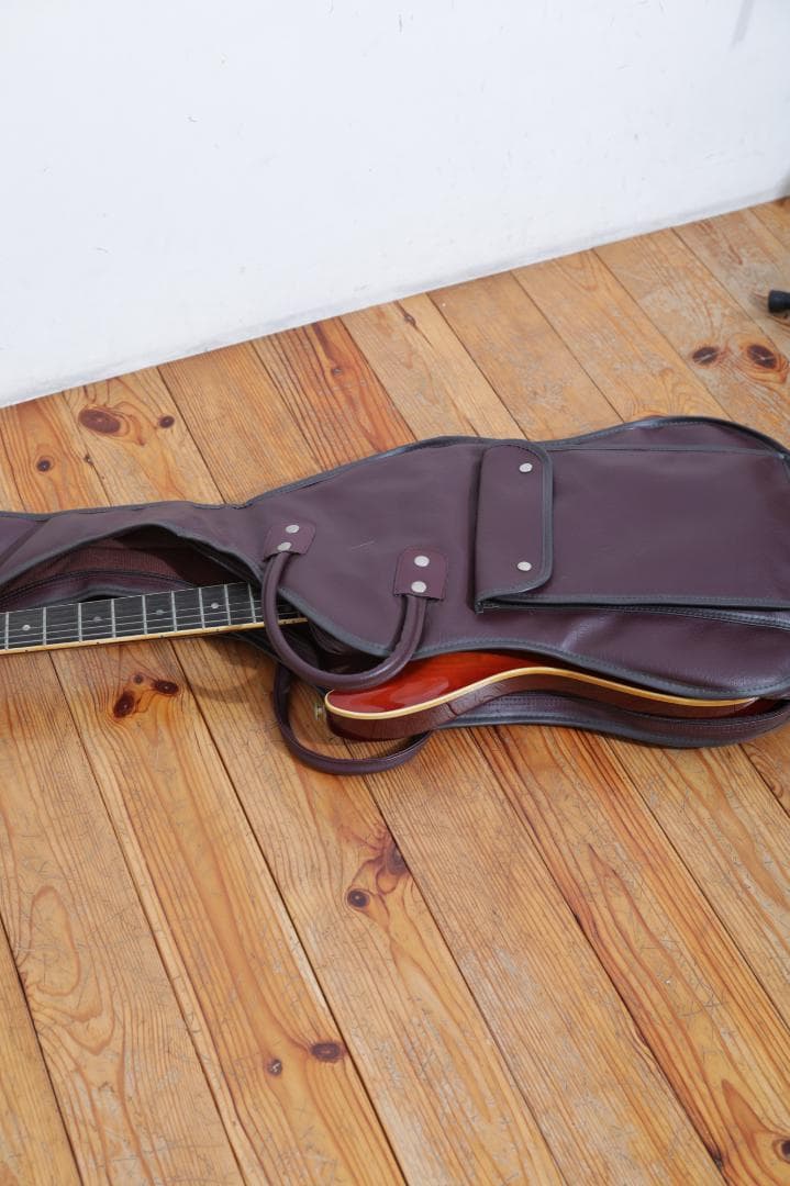 HeartField ELAN EL-I（専用ソフトケース付き）