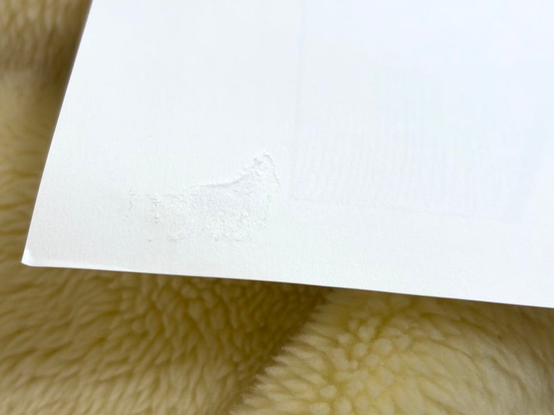 ONE PIECE 名シーン複製原稿（複製原画） 2シーンセット