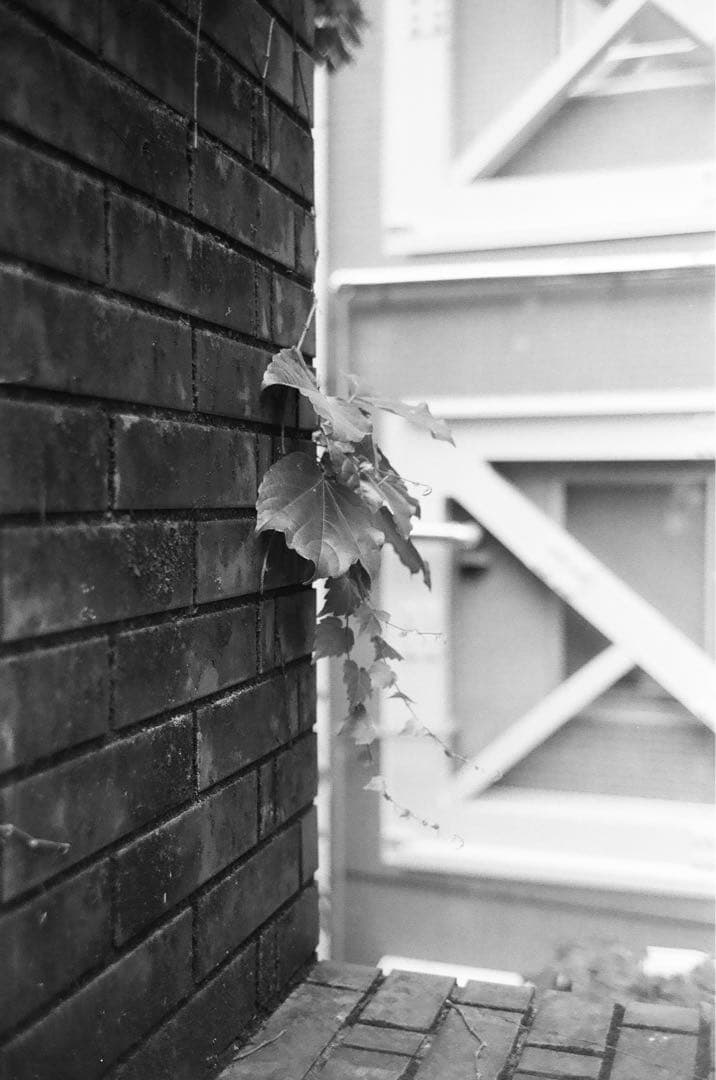 Jupiter 12 35mm F2.8 単焦点レンズ L39