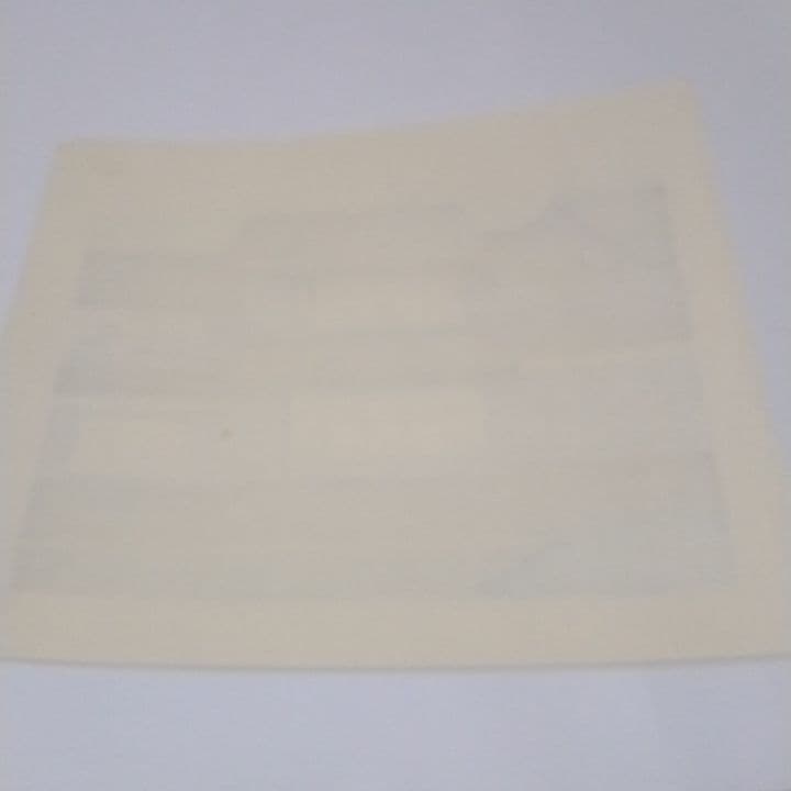 ぎ*ん様 木版画　井堂雅夫