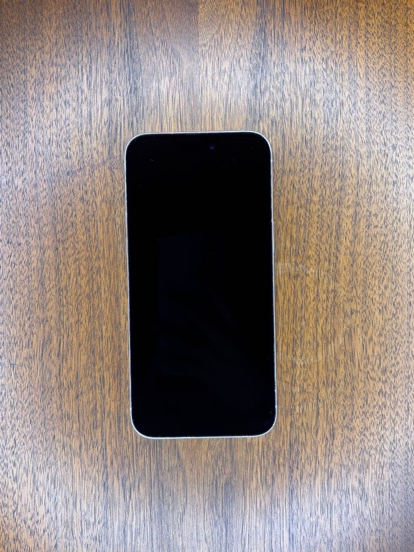 iPhone 14 Pro Max シルバー 本体 1TB