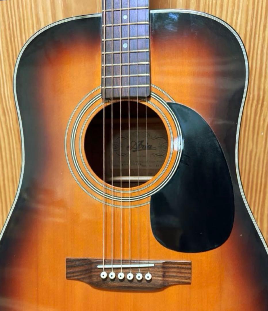 【エレアコ化・ライブ仕様】Aria ADW-200BS 低弦高2.5mm