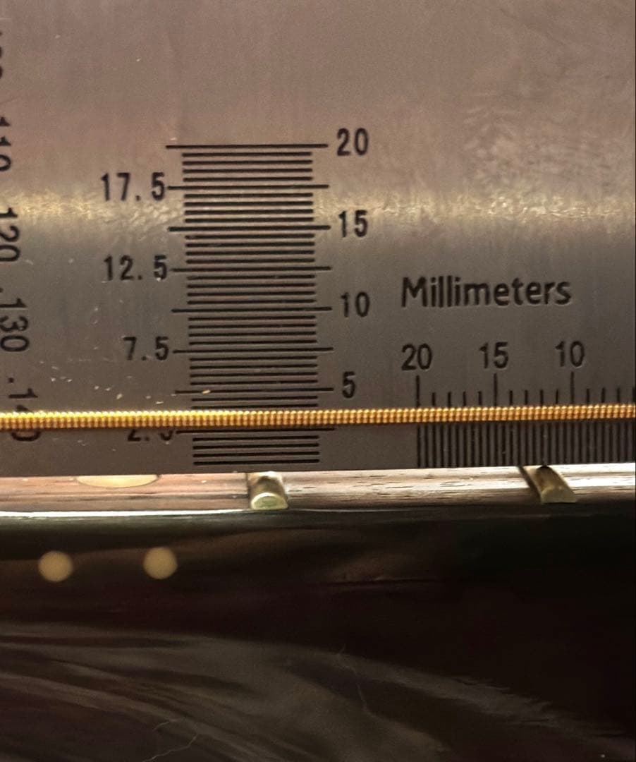 【エレアコ化・ライブ仕様】Aria ADW-200BS 低弦高2.5mm