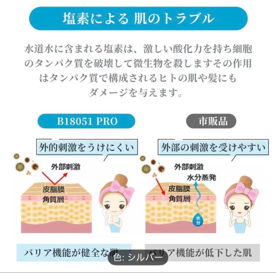 【期間限定破格セール】シャワーヘッド シルバー