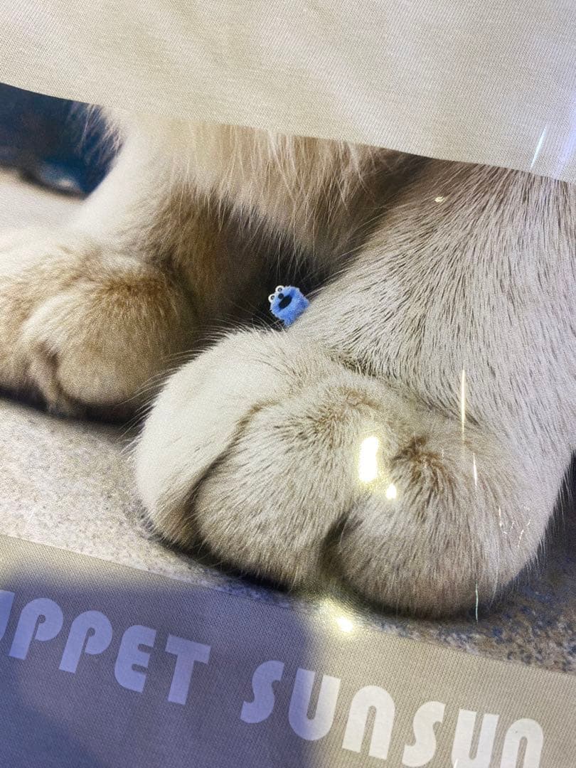 【台湾限定】SUNSUN Tシャツ