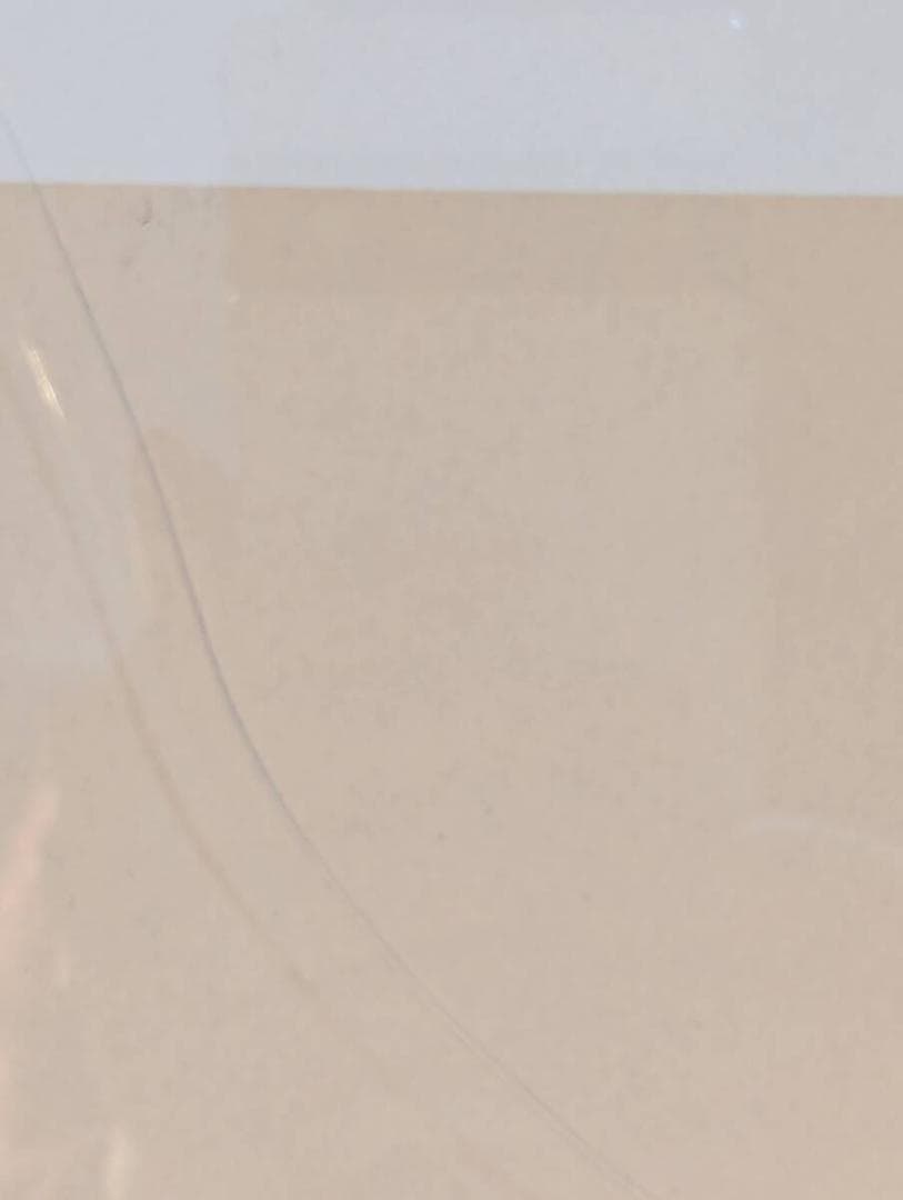 【真作】版画　レオ・パシリコ　シルクスクリーン　モダンアートの巨匠　V88