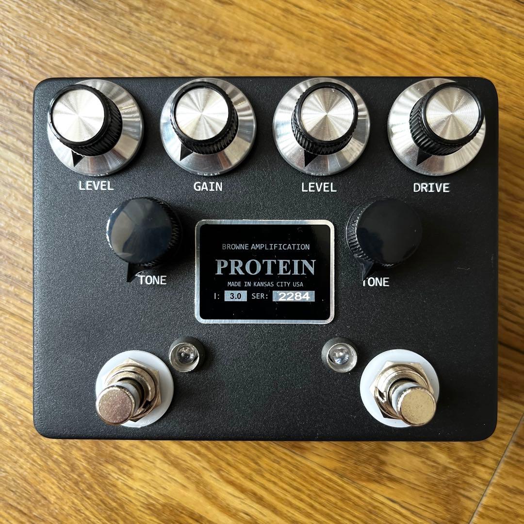 browne amplification protein クローン
