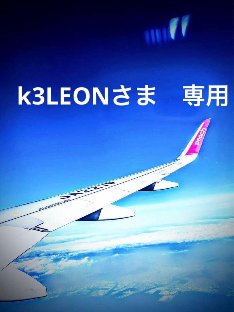 k3LEONさま　専用