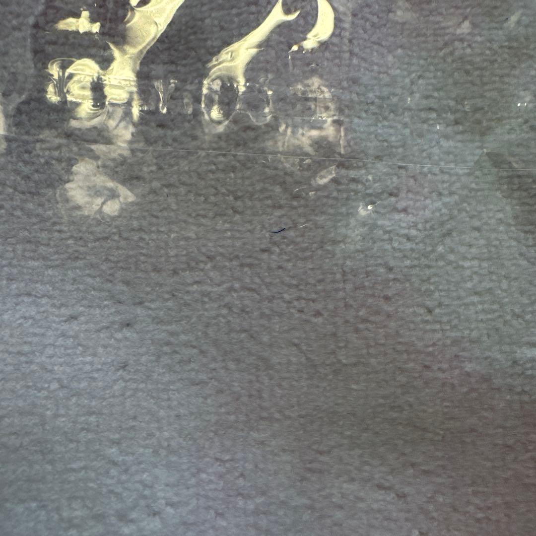 ポケモン　ミニタオル　セレナ