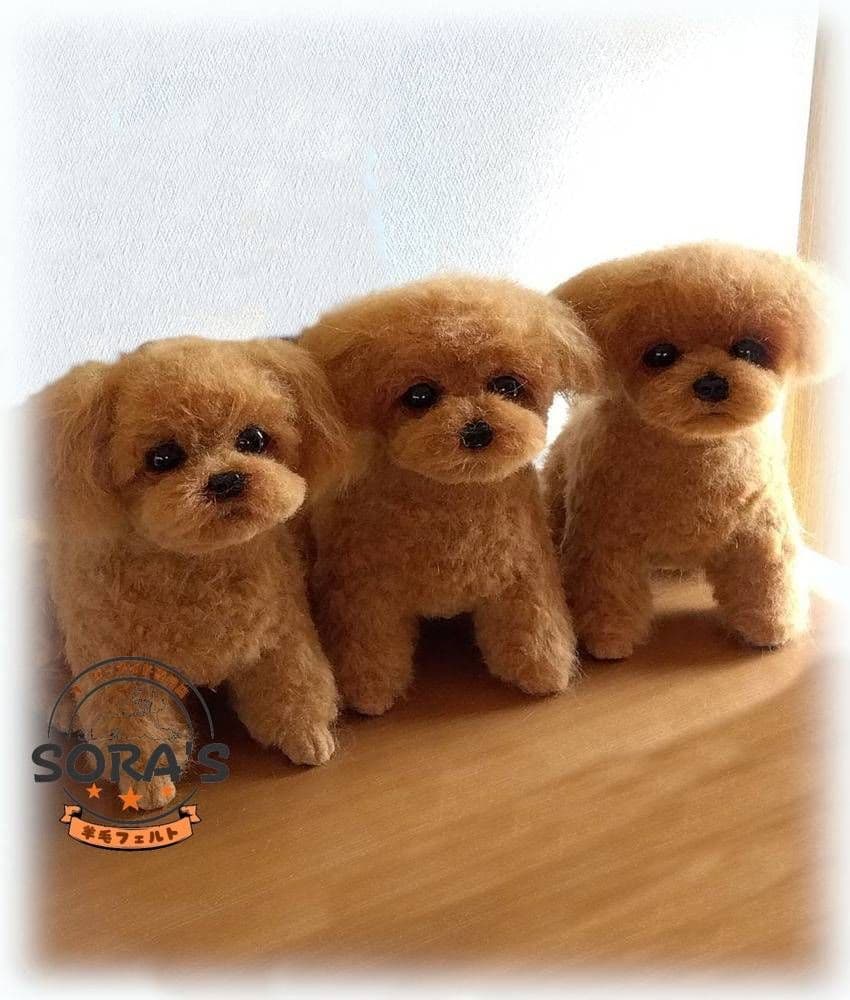 愛犬の羊毛フェルトオーダー・ご予約専用ページ・わんちゃん