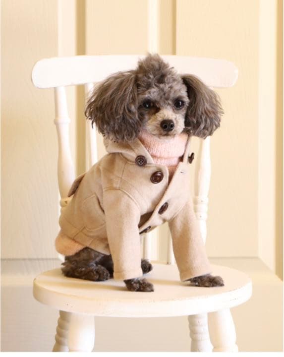 アトリエGG Greige Coat 1