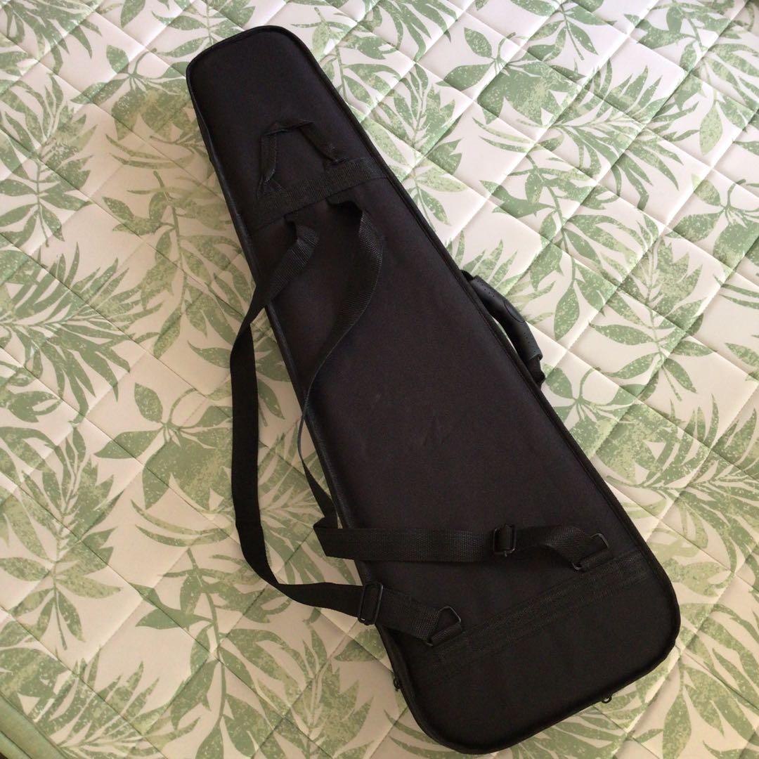 Eastarバイオリン 4/4 単板 ソリッド バイオリンセット 本体