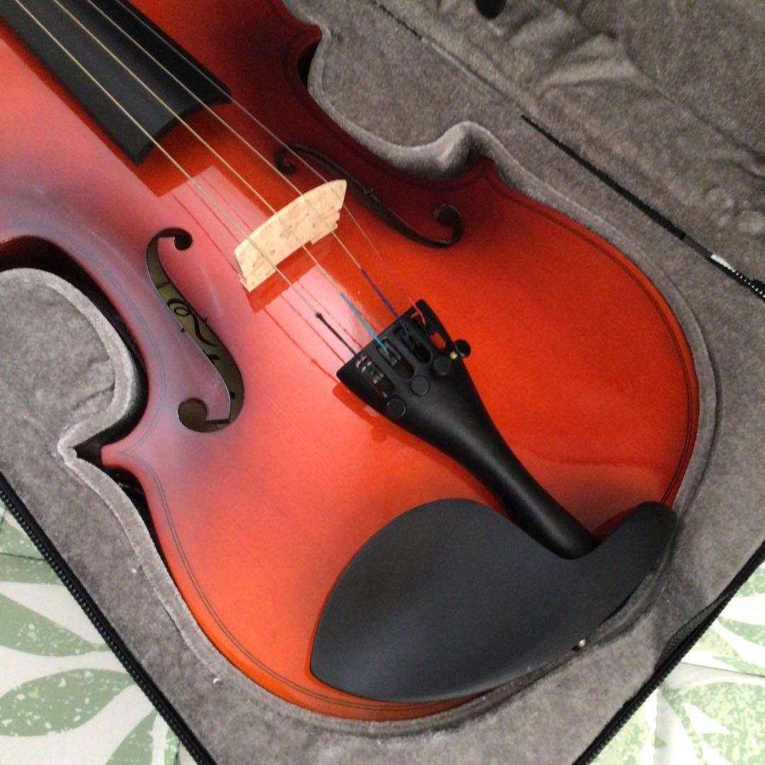 Eastarバイオリン 4/4 単板 ソリッド バイオリンセット 本体