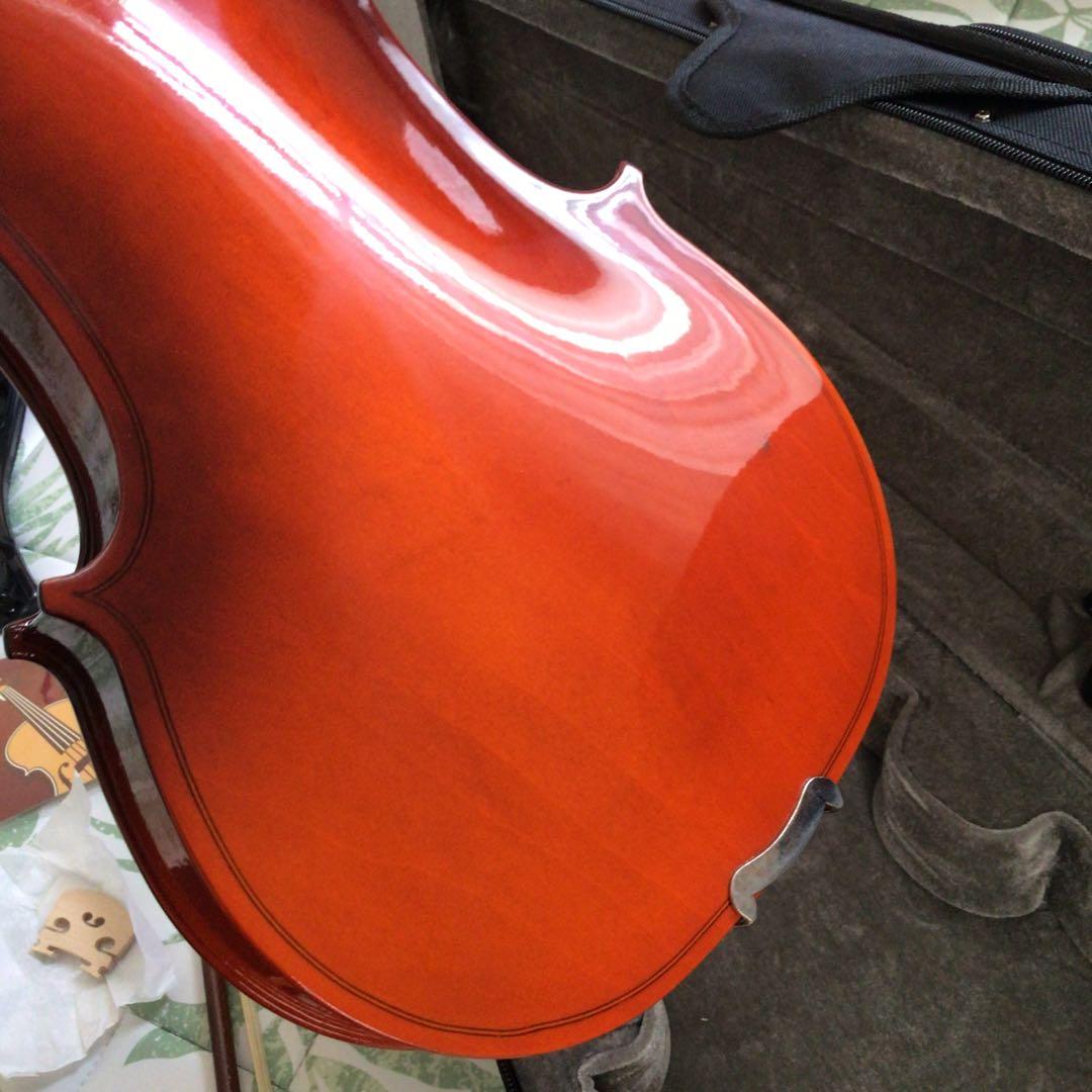 Eastarバイオリン 4/4 単板 ソリッド バイオリンセット 本体