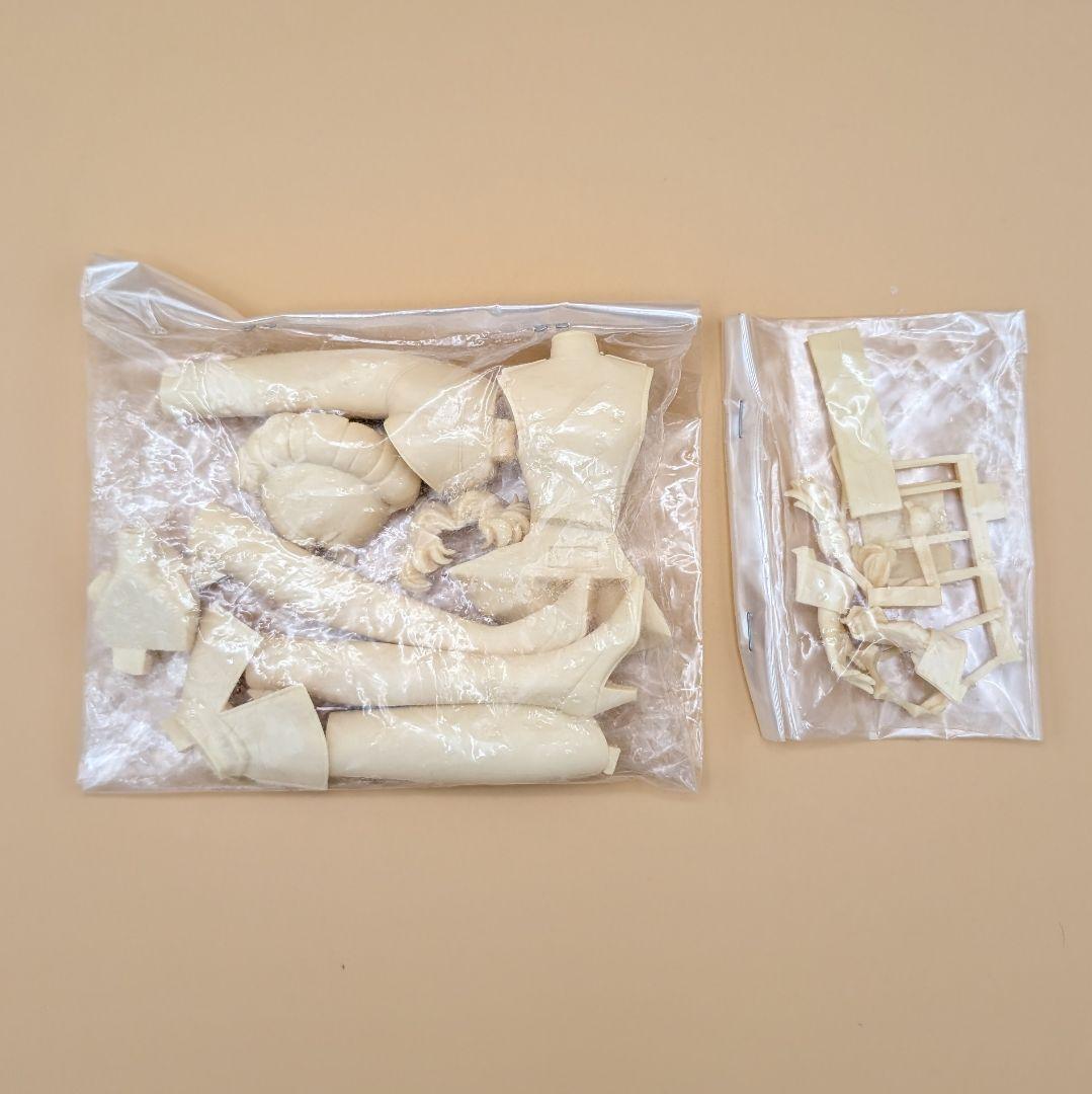 1/6 姫宮アンシー 薔薇の花嫁 ガレージキット ガレキ T's system